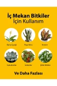 Petroturk İç Mekan Sıvı Bitki Besini Kullanıma Hazır Sağlıklı Büyüme Ve Canlı Yapraklar - 5