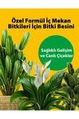 Petroturk İç Mekan Sıvı Bitki Besini Kullanıma Hazır Sağlıklı Büyüme Ve Canlı Yapraklar - 6