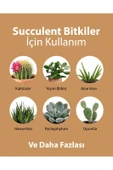 Petroturk Sukulent Sıvı Bitki Besini Kullanıma Hazır Güçlü Kök Ve Sağlıklı Yapraklar - 4