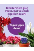 Petroturk Bol Çiçekli Sıvı Bitki Besini Kullanıma Hazır Bol Çiçeklenme Ve Güçlü Büyüme Sağlar - 5