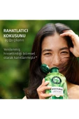 HERBAL ESSENCES Sülfatsız Yatıştırıcı Aloe Içeren Şampuan 350 ml - 5