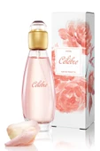 AVON Wish Of Love Ve Celebre Kadın Parfüm Paketi - 3