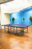 Dynamic Delux Lite Indoor Masa Tenisi Masası - 16MM - 2 Raket, 3 Top ve Ağdemir Hediyeli - 1