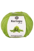 10 Adet Amigurumi El Örgü İpi 50gr 404 - 2