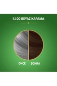 Naturals Saç Boyası Altın Kestane 5/73 - 3