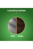 Naturals Saç Boyası Koyu Kestane 3/4 - 3