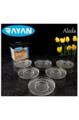 Rayan Aleda 6'lı Çay Tabağı - 1