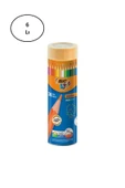 Bic Evolution Kuru Boya Kalemi 36'lı Metal Tüp 6'lı - 1