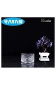 Elusia Stars Çizgili Tekli Cam Çerezlik Royaleks-81276 - 1