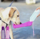 Köpek Seyahat Suluğu - 1