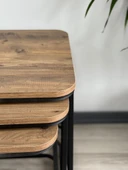 Efra Tekerlekli Zigon Sehpa Takımı Salon Oturma Salonu Ofis - 4