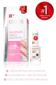 Eveline Cosmetics Hızlı Tırnak Uzatıcı Bakım | Maximum Nails Growth 12ml - 2