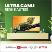 Conti CT43AN100F Full HD 43" 109 Ekran Uydu Alıcılı Android Smart LED TV - 3