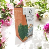 Matcha Detox Sandaloz Sakız Altın Çilek Detox Burner Form Maça - 2