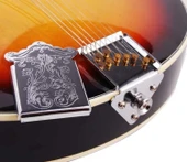 Enstrüman Kuyruğu (Diplik / Kordiyer) - MTP2 thumbnail 1