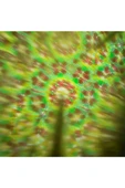 Can Kaleidoscope - Kaleydeskop Karton Çiçek Dürbünü Hareketli 20 cm - Kahverengi Renk - 4