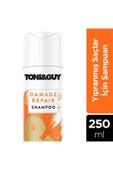 Toni & Guy Yıpranmış Saçlar içın Yoğun Onarıcı Şampuan 250 ml thumbnail 1
