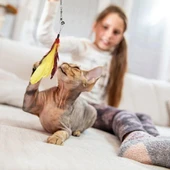 Teleskopik Zilli Ve Tüylü Kedi Oyuncağı - 3