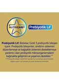 Bebelac Gold 3 Çocuk Devam Sütü 350 Gr 1 Yaşından İtibaren - 3