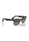 Rayban Unisex Güneş Gözlüğü Rb2140 136071 Füme - 2