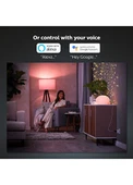 Philips Hue 1x Smart Plug Akıllı Priz thumbnail 2