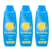 Blendax Kepeğe Karşı Etkili Şampuan 500 Ml x 3 Adet thumbnail 1