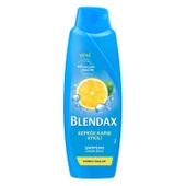 Blendax Kepeğe Karşı Etkili Şampuan 500 Ml x 3 Adet thumbnail 2