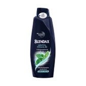 Blendax Şampuan Mentol Ferahlığı 500 ml x 3 Adet - 2