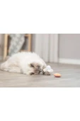 Trixie Kedi Oyuncağı, Dondurma ve Kek Şeklinde, Peluş, Kediotlu 7cm - 2