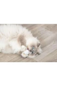 Trixie Kedi Oyuncağı, Dondurma ve Kek Şeklinde, Peluş, Kediotlu 7cm - 1