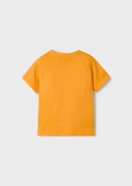Mayoral Erkek Çocuk İkili Tshirt Set - 5