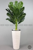 BİÇİÇEK   150cm Areka Ağacı Kumsal Saksıda - 1