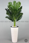 BİÇİÇEK   150cm Areka Ağacı Kumsal Saksıda - 6