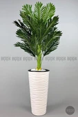 BİÇİÇEK   150cm Areka Ağacı Kumsal Saksıda - 8