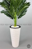 BİÇİÇEK   150cm Areka Ağacı Kumsal Saksıda - 7