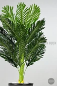 BİÇİÇEK   150cm Areka Ağacı Kumsal Saksıda - 11