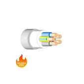 100 Metre 4x2,5 mm Halogen Free NHXMH NYM Antigron Enerji Kablosu - 1