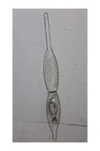 homecraft Metal Balık Izgarası çelik 67x16 Cm BBQ Barbekü mangal keyfi krom renk - 5