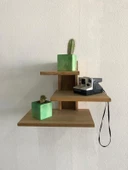 Yeşil Doğal Ahşap Küp Saksı ve Canlı Kaktüs - 5