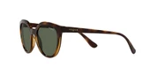 VOGUE 5427S W65671 50 Güneş Gözlüğü - 12