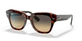 RAYBAN 2186 1324BG49 Güneş Gözlüğü - 1