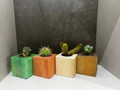 Doğal Ahşap Küp Kaktüs Saksısı Renkli 4 lü Kombin - 5