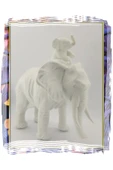 Anne Yavru Fil Biblosu - 1