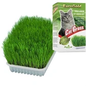 Eurogold Kedi Çimi - 1