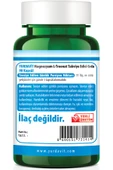 Yurdavit Magnesium L-threonate 90 Kapsül Aromasız Vegan - 3