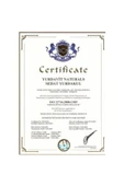 Winking Beauty Hyalüronik Asit Ve Glycerin Ile Nemlendirme Ve Dolgunlaştırma Cilt Serumu Hyaluronic Acid 30 Ml - 3