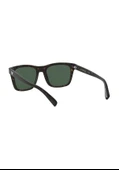 EMPORIO ARMANI 4142 508971 55 Erkek Güneş Gözlüğü - 4