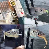 Daiwa Gekkabijin Ajing Beam Kiwami 5cm Lrf Silikon Yem thumbnail 3