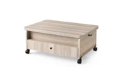 SEFA HOME ÇEKMECELİ TEKERLEKLİ SİHİRLİ SEHPA 106R - 6