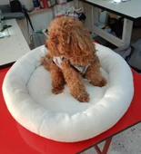 Isıtıcılı Kedi Yatağı Isıtıcılı Köpek Yatağı - 2